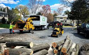 Lawn Renovation and Restoration in Haymarket, VA