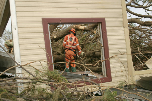 Best Storm Damage Tree Cleanup  in Haymarket, VA